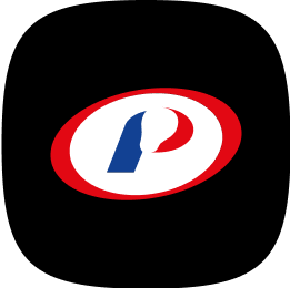 Логотип Русский Свет
